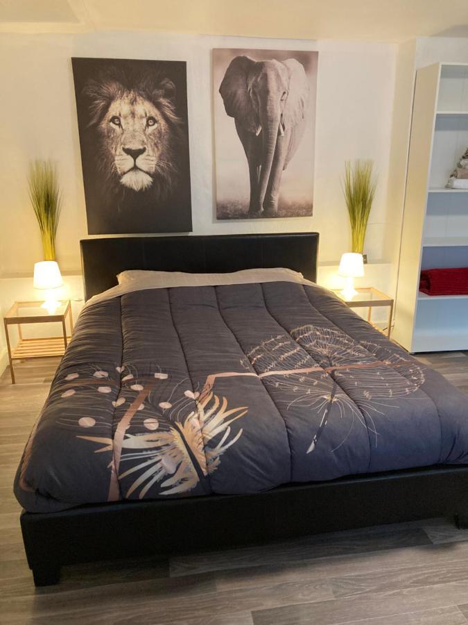 דינאן Gite D'Avalon Appartement 5 מראה חיצוני תמונה
